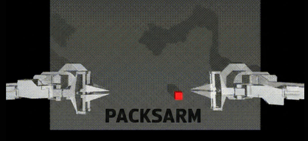 PackSARM